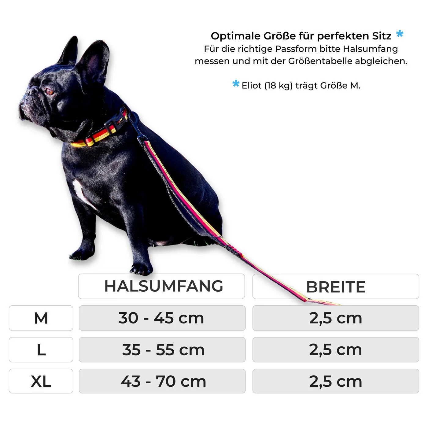 Größentabelle M, L, XL — 2,5 cm Breite